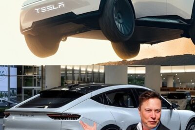 Game-changer alert! Elon Musk just dropped the 2025 Tesla Model Q — and it’s about to flip the entire electric SUV market on its head with a jaw-dropping price tag of just $19,999! He claims this ride is revolutionary and will leave the competition in the dust …