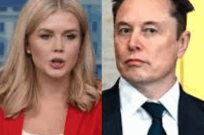 Karoline Leavitt and Elon Musk Shock the Nation with Newly Released Exposé on ‘The View’