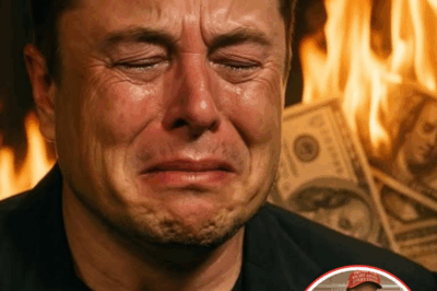 In just hours, a shocking incident wiped out $44 billion from Elon Musk’s net worth, delivering a massive blow to the billionaire! 😱 What happened—and how will it impact the future of tech?