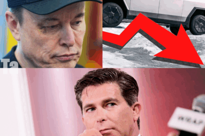 Shocking move: Tesla’s biggest investor, Ross Gerber, just dumped all his shares and is predicting a total collapse soon! 🚨📉 What’s behind this dramatic decision—and what could it mean for Tesla’s future