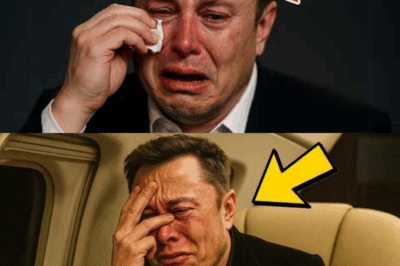 Elon Musk Faces Major Crisis With Impact Reaching Far Beyond Silicon Valley
