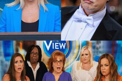 THE VIEW IS ON THE BLIND OF COLLAPSE: Just 10 minutes ago, Karoline Leavitt and Elon Musk stunned the nation by releasing a shocking exposé targeting ‘The View’
