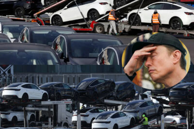 Denmark Just Said “Nah, We’re Good” to Tesla — And It’s Not About the Cars, It’s About the Chaos Called Elon Musk