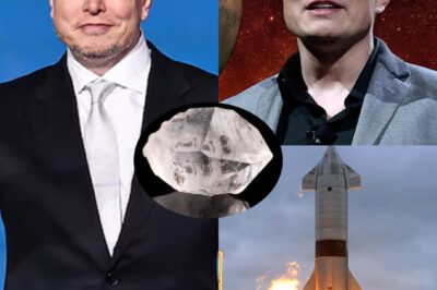 ELON really went to Mars and came back with 40 TONS of gold and diamonds like it’s a GTA side quest?! 🚀💎💰