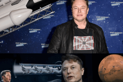 Elon Musk’s Boldest Promise Yet: A Real Time Travel Portal Inspired by His Manipulation Dream
