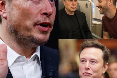 A Man Mocked Elon Musk in First Class—And Instantly Regretted It When the Truth Came Out