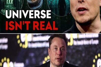 Mind-blowing alert! Elon Musk sparks debate: Are we living in a simulated reality? Some experts weigh in, suggesting the chances of us being in a simulation are 50-50. Others argue it’s impossible to test or disprove. What’s your take on this cosmic question?