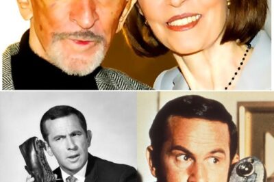 Don Adams: The Man Who Missed It By That Much (But Actually Nailed It Every Time)