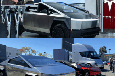 Tesla in Trouble: Sudden Price Plunge Has Investors Asking—Is This the Beginning of the End?