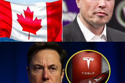 BREAKING: Elon Musk Drops Bombshell with 9-Word Message, Revealing a Hidden Truth That’s Left the World Stunned!
