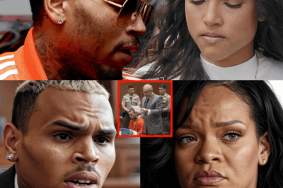 Rihanna Furious Over Bail Money, Pressures Chris Brown—Lawyer Unveils Shocking New Secret