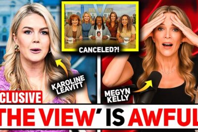 BREAKING: Karoline Leavitt Just BANKRUPTED The View — And Megyn Kelly’s Response Says EVERYTHING It started with a reckless joke on air. It ended with a courtroom bombshell that left the daytime talk world trembling. As hosts panicked behind the scenes, Megyn Kelly stepped forward—with 12 words that turned everything upside dow