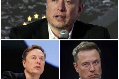 RETURN TO MERIT-BASED VALUES! Elon Musk criticizes the emphasis on woke culture, advocating for a more merit-focused approach. Musk argues that we risk stifling the very forces that drive progress.