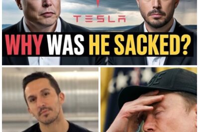 How much pressure do Tesla employees face when working with Elon Musk? Elon Musk just purged one of Tesla’s most powerful executives as the company spirals through a storm of collapsing sales and global backlash.