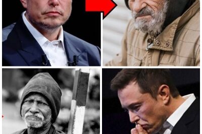 The Billionaire’s Shocking Act: Elon Musk discovers his childhood friend is homeless and shocks the world with his next move.