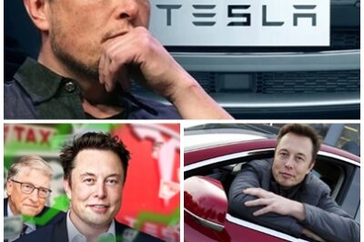 Tesla’s Tipping Point: “Elon Musk adds $19 billion to his wealth as Tesla’s stock soars after robotaxi rollout Is this the future of transportation?”