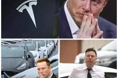 TESLA FACES BACKLASH! Danish construction giant Tscherning cuts ties with Tesla over Elon Musk’s controversial views. Is this the start of a trend?