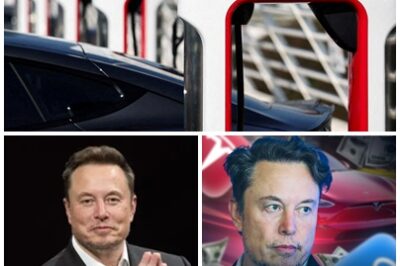 ENGINEER LOYALTY PAYS OFF! Despite rival companies trying to poach Tesla’s AI talent, one engineer says no amount of money can sway him from Elon Musk’s vision. What’s behind his dedication?