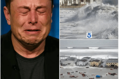 😢 HEARTBREAK ON LIVE TV: Elon Musk BREAKS DOWN in TEARS Revealing Tragic LOSS of Family Member in Hawaii Tsunami….