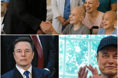 Elon Musk Quietly Pays Off Cancer Patients’ Bills Like a Damn Superhero — In Honor of His Mom. Yeah, We’re Crying Too.