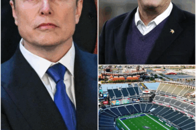 ELON’S BIG PLAY REJECTED: Musk Offers to Rename U.S. Bank Stadium “Tesla Field” & Redesign Vikings Jerseys for Life — But Team Owner Zygi Wilf Shuts It Down Instantly!