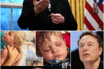 5-year-old X Æ A-Xii remains on life support at a Texas hospital after being stung over 150 times by yellowjackets. He accidentally ran over a nest while riding his electric toy car and was swarmed within seconds. The most heart-wrenching moment? A viral video shows his father, Elon Musk, rushing into the ER, covered in stings, carrying X Æ A-Xii’s limp body and crying out:..