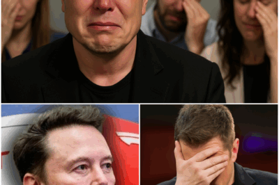 😱 “I BEG YOU… Don’t make me do this.” SpaceX is in shambles. Engineers crying. Fans forming prayer circles like it’s Judgment Day. Elon just dropped a BOMB so heavy, even the rockets stopped flying. 🚀💔