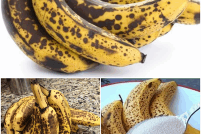 🍌 Stop Throwing Away Those Old Bananas, You Fool — They’re Healthier Than the Pretty Ones!