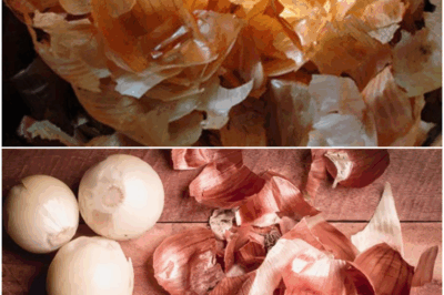 Stop Tossing Garlic Peels—They’re Basically Garden Gold, and Here’s Why