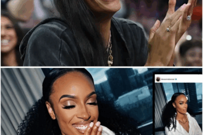 DeWanna Bonner’s Cryptic Post Sends Shockwaves Through the WNBA — And Fever Fans Say They Know Exactly Who It’s About