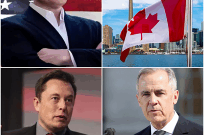 Canada Makes Bold Decision to Shut Down Tesla and the US Auto Industry – Elon Musk Responds with Shocking 9-Word Message, Revealing a Hidden Truth That Stuns the World