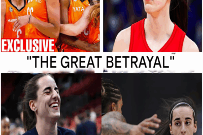 BREAKING: After Staying Quiet for Years, Larry Bird Finally Speaks Out — and What He Just Said About Caitlin Clark and the WNBA Has Sent Shockwaves Across the Sports World. No Yelling. No Ranting. Just Stone-Cold Truth That’s Got Even Lifelong Fans Questioning What the League Has Become. “If This Is the Future of Women’s Basketball,” He Said, “Count Me Out.” His Final Line? Absolutely Chilling.