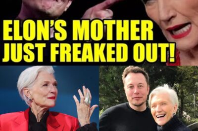 Maye Musk Just Said What We’ve All Been Thinking….