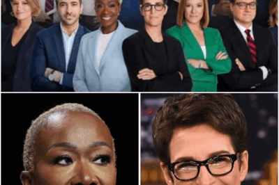 🔥THE REVENGE PLOT BEGINS: Rachel Maddow & Joy Reid Form Secret Alliance After Shocking Firing….
