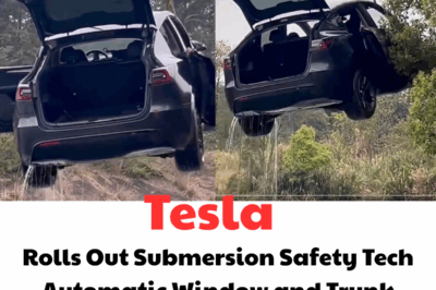 Tesla Introduces Submersion Safety Feature: Windows and Trunk Open Automatically in Emergencies