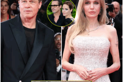 After 8 Long Years, Brad Pitt Breaks Silence on Angelina Jolie Divorce. The Battle May Be Over, But the Drama Remains! 