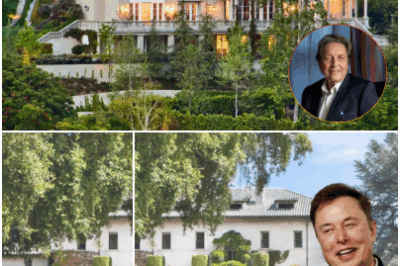 In addition to wealth and intelligence, Elon Musk and his father also show warmth through good deeds.