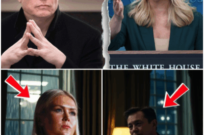 Explosive Encounter: Elon Musk and Karoline Levitt’s private meeting at a luxury hotel turned into a dramatic confrontation. Insiders reveal shocking details about what really happened behind closed doors.