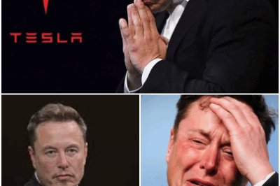 Elon Musk has shared his pain for the first time, surprising even his fans. Something he has kept secret for two decades. Everyone has their own pain, and billionaires are no exception.