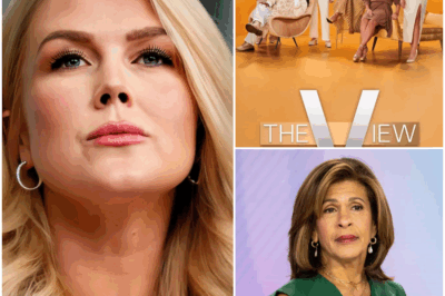 The View Sparks Controversy: Karoline Leavitt’s Bold Statement Ignites Boycott! Viewers are applauding as The View faces unprecedented backlash.