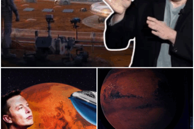 MIND-BLOWING REVELATION: Elon Musk’s Shocking Mars Discovery Sparks Global Frenzy! Elon Musk reveals the existence of an ancient, non-human base on Mars, the world is thrown into chaos.