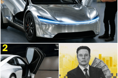 The world is counting down the days to the launch of Tesla Model 2. Elon Musk is ready with this groundbreaking car with the most modern and luxurious features in the world, the car costs $ 24,990.