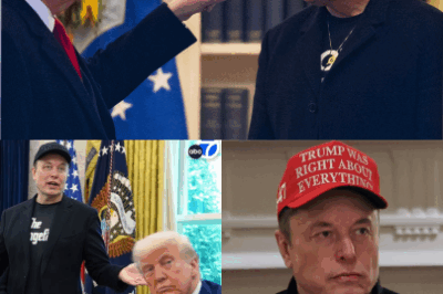 Shocking Threat: President Donald Trump considers deporting Elon Musk amid renewed feud over spending bill.