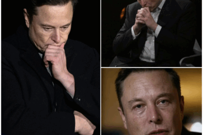 HEARTBREAKING NEWS! SpaceX employees and Elon Musk fans are left devastated after a shocking announcement.