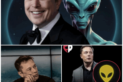 Elon Musk has invested heavily in space travel, leading to speculation that he has connections with aliens. This is all the more surprising when Elon Musk confirms it. According to Elon Musk, he is a 3,000-year-old extraterrestrial time traveller who is attempting to return to his native planet.
