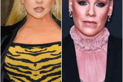 P!NK DROPS BOMBSHELL ON WOMEN IN MUSIC — Christina Aguilera LEFT REELING, FANS ASK: “Was That a Subtle Diss or a Secret Message?” 😳🔥
