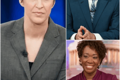 🔥 MEDIA REVOLUTION — RACHEL MADDOW, STEPHEN COLBERT & JOY REID JOIN FORCES TO LAUNCH A RADICAL NEW VENTURE FREE FROM ADVERTISERS & NETWORK BOSSES, DECLARING WAR ON CORPORATE NEWS…