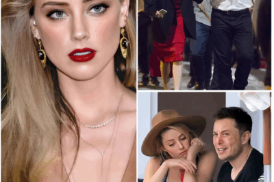 💔FROM FAIRY TALE TO NIGHTMARE: Elon Musk & ‘Golden Ratio Beauty’ Amber Heard’s Love Story….