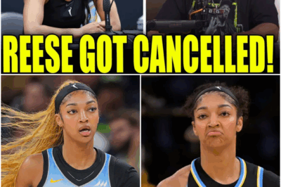 🔥 ICE CUBE CLAPS BACK at Angel Reese After MAJOR Endorsement Deals Fall Apart….