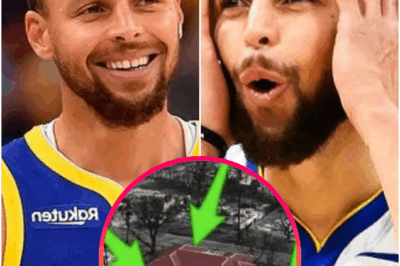 EVERYONE NEEDS TO KNOW: Stephen Curry REVEALED as Owner of Secret Hilltop SAFE ZONE in Hawaii….